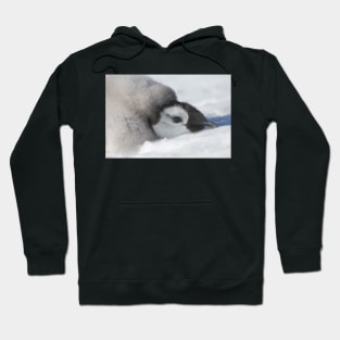 Emperor chick Hoodie